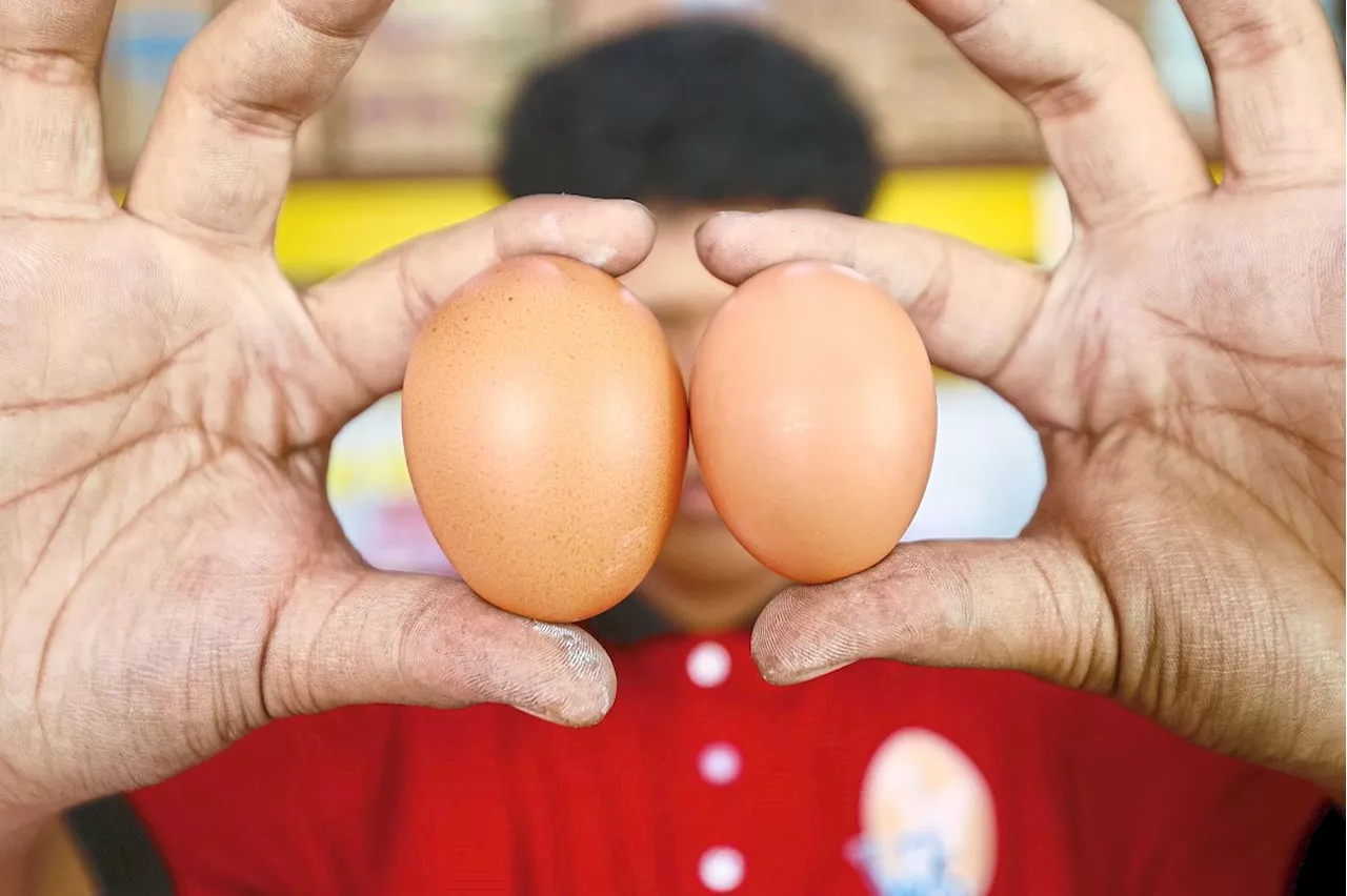 Egg prices steady after subsidy removal
