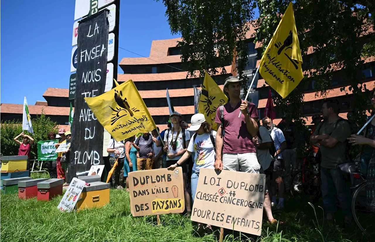 Loi Duplomb : « victoire d’étape », « choc », « ingérence »… Les réactions après la censure de l’acétamipride