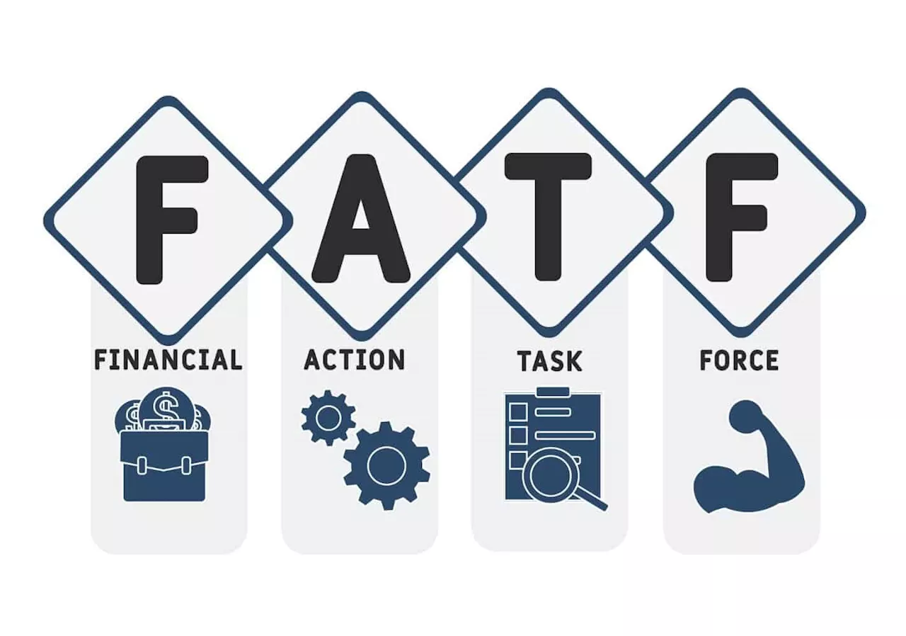 Will SA finally be off the grey list after Financial Action Task Force visit?