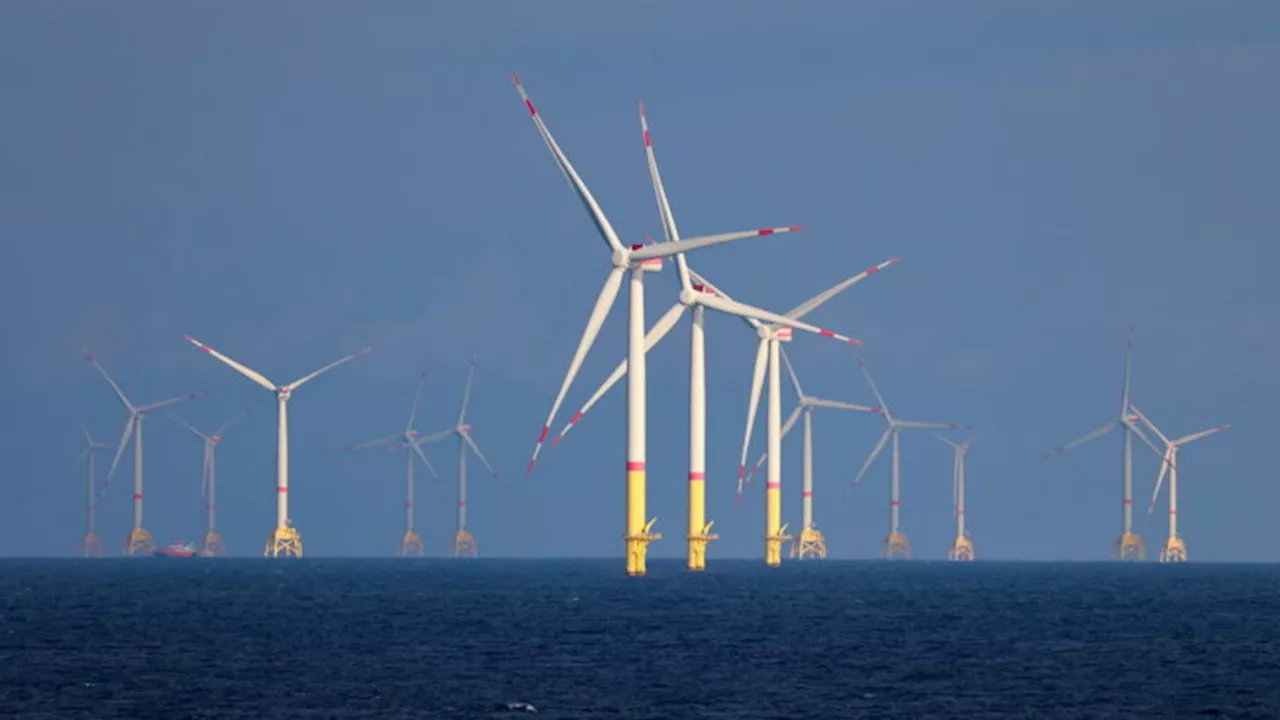 «Scheitern mit Ansage»: Windpark-Auktion endet ohne ein einziges Gebot