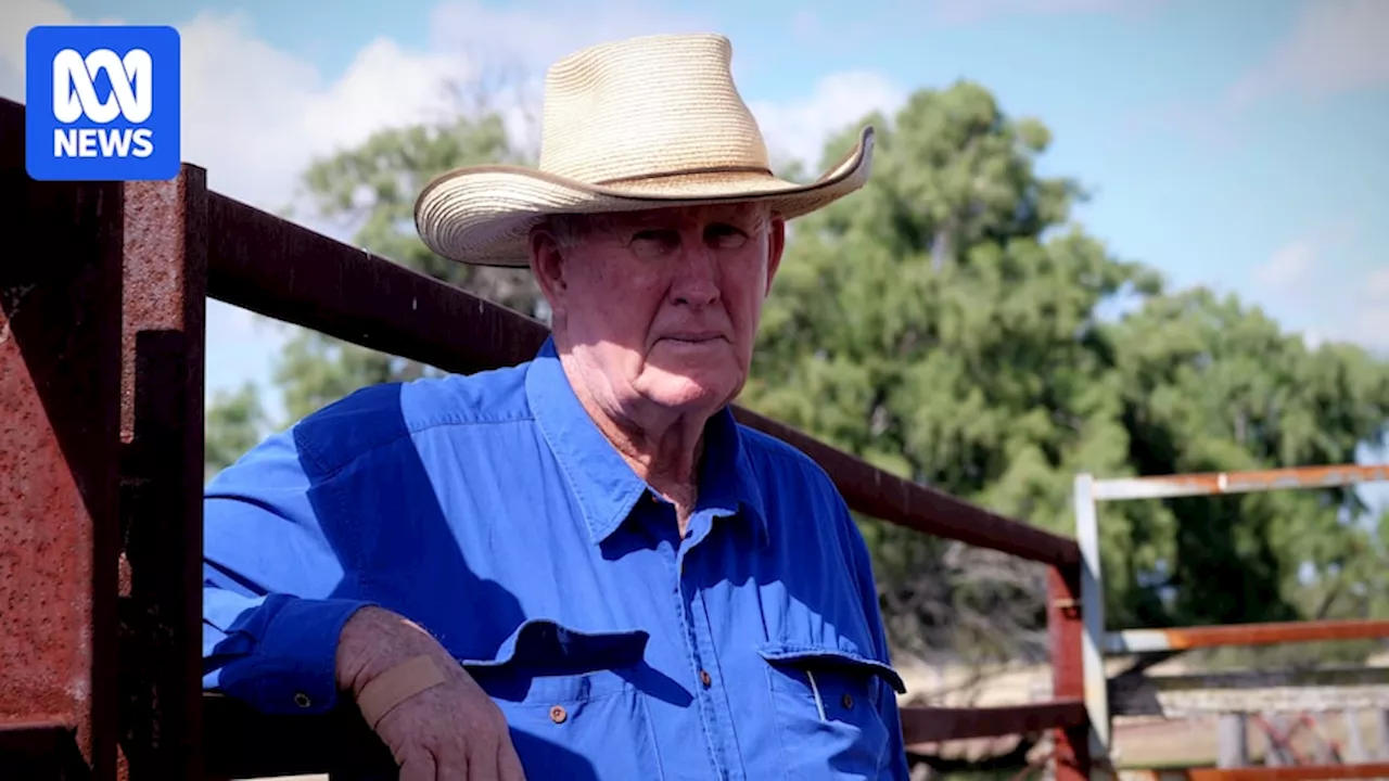 Hard choice for cattle farmer after Biloela property contaminated by PFAS