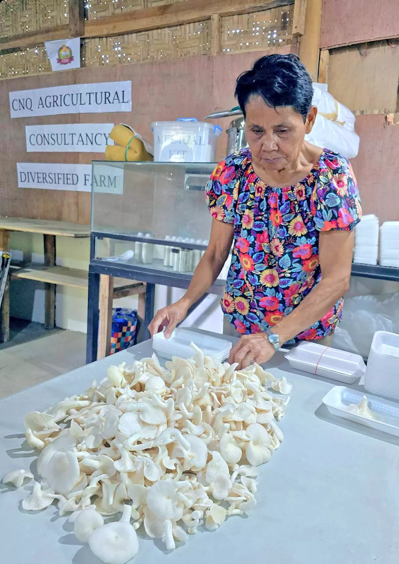 Retired professor transforms sitio into community lifeline