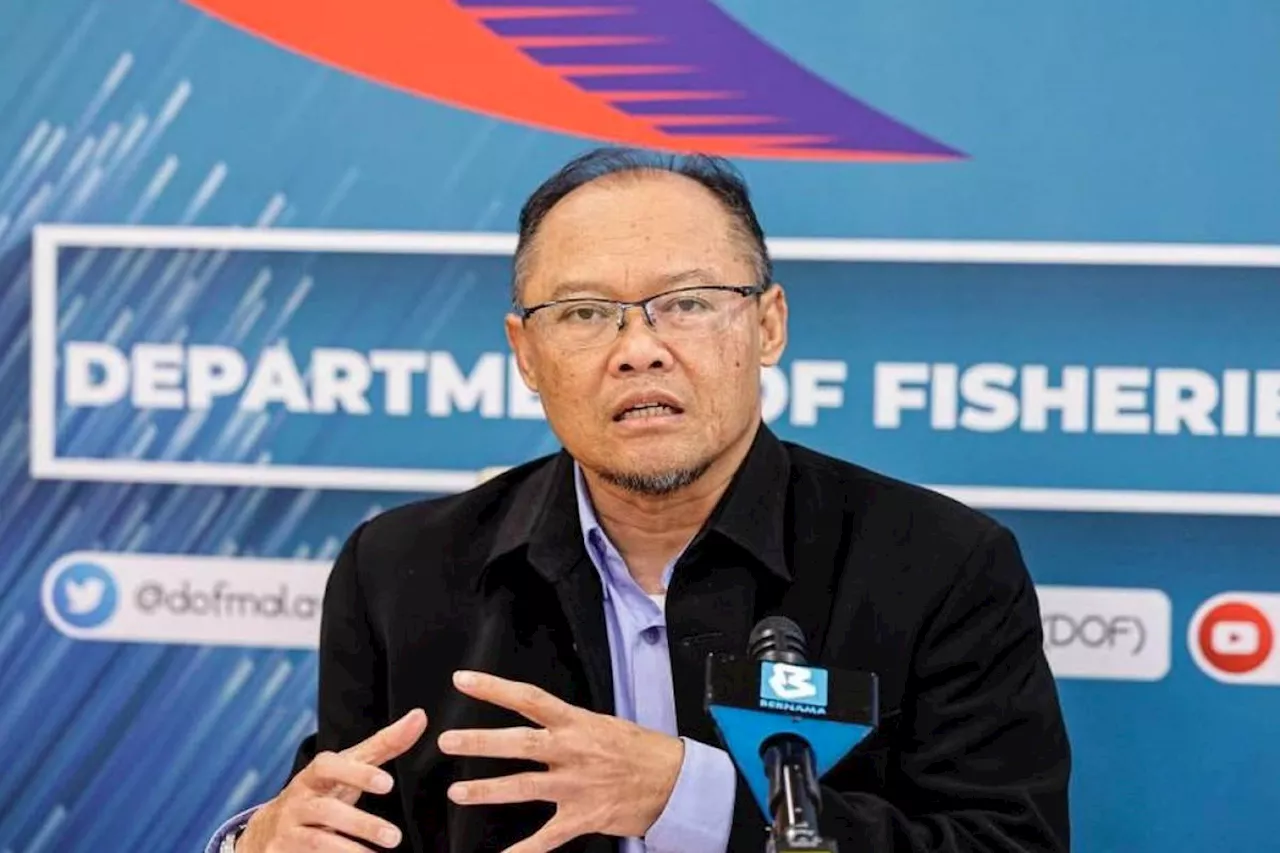 DOF deploys 12 artificial reefs in Rompin to boost marine resources