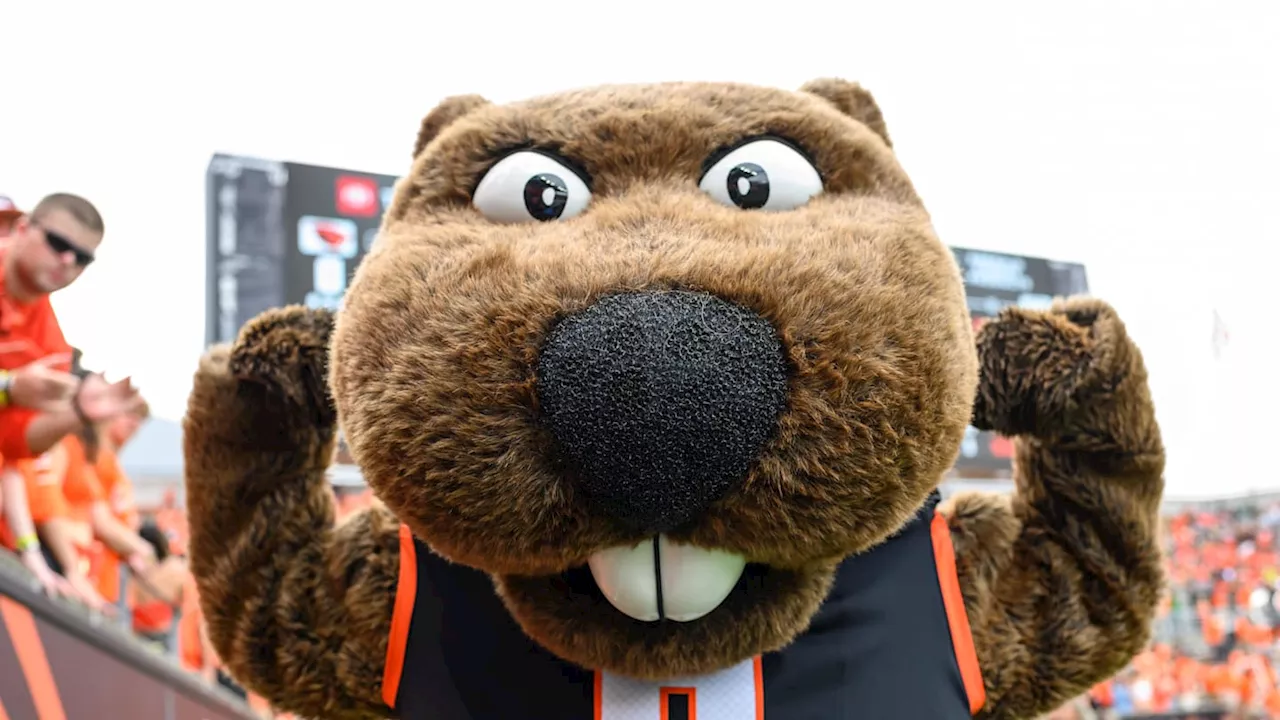 Oregon State coach rips special teams unit after calamitous punt
