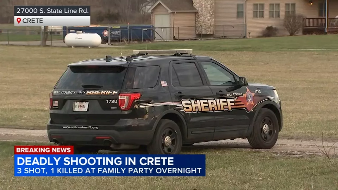 3 shot, 1 fatally, during fight at family party in Crete, Will County sheriff says