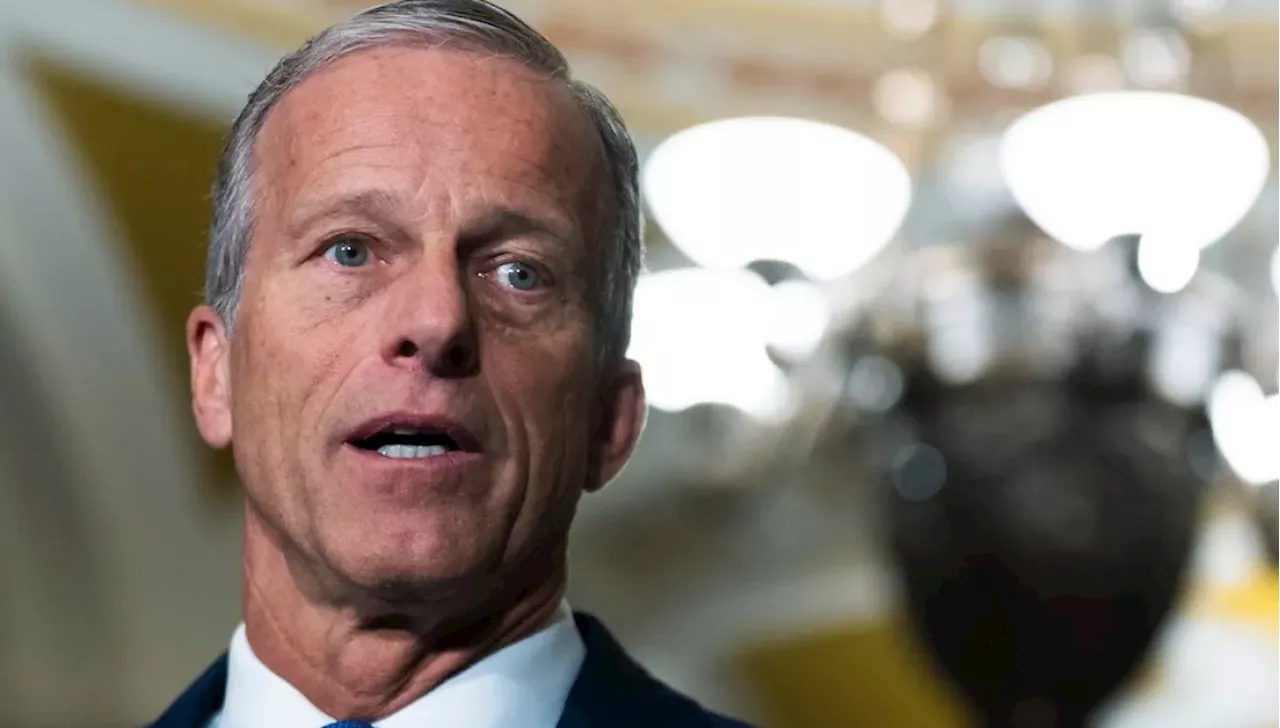 Thune under pressure to end two-week vacation amid record-long DHS shutdown