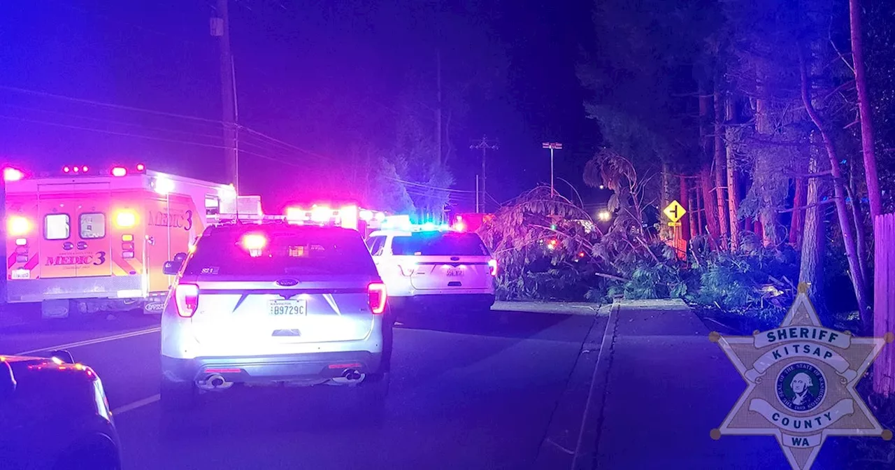 Deadly car crash involved 7 teens in East Bremerton, WA