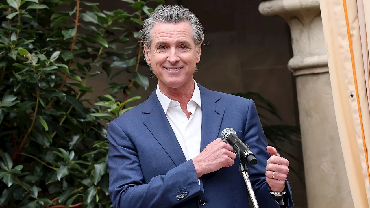 CNN commentator doubts 'coastal liberal' Gavin Newsom is savior for Democrats