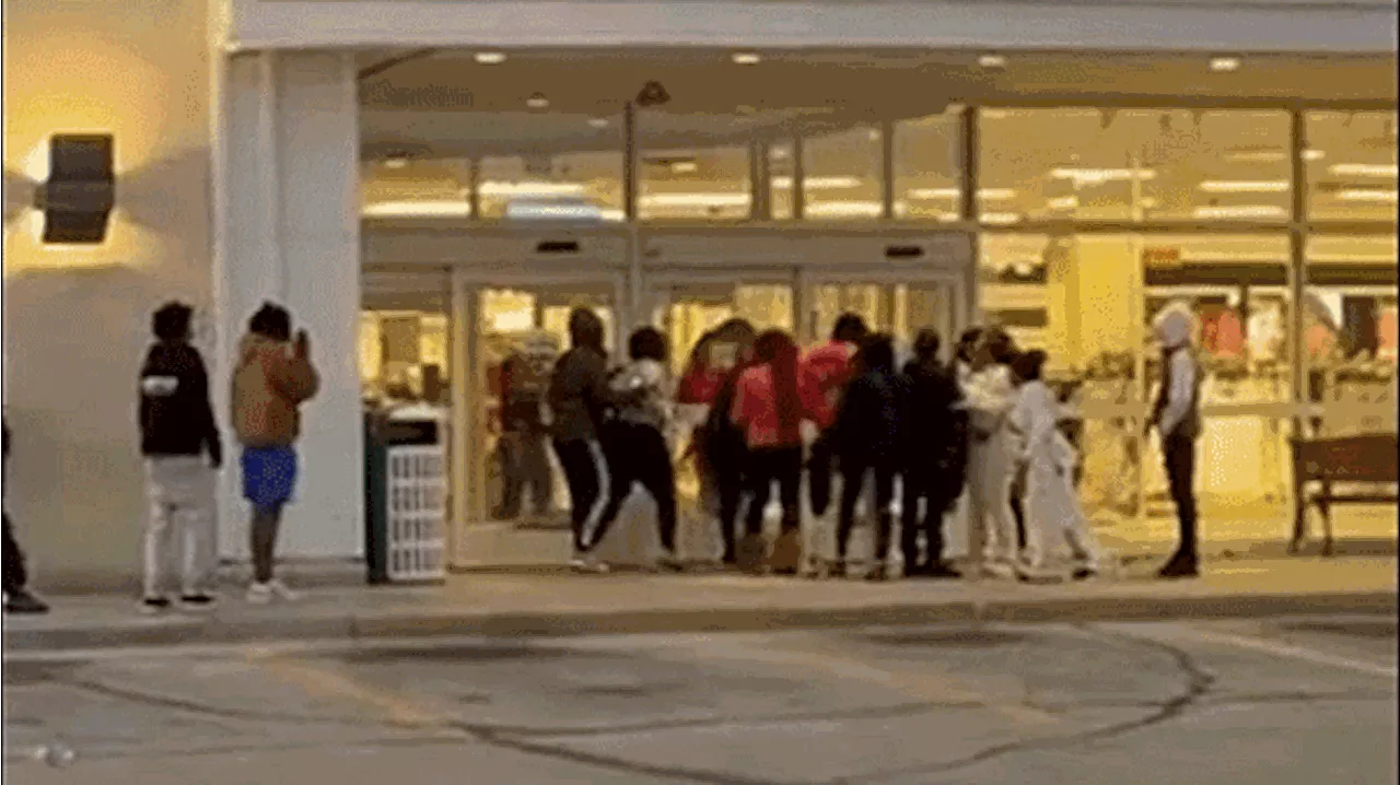 Viral 'takeover' chaos erupts as teen brawl breaks out, multiple arrests after mall melee caught on video