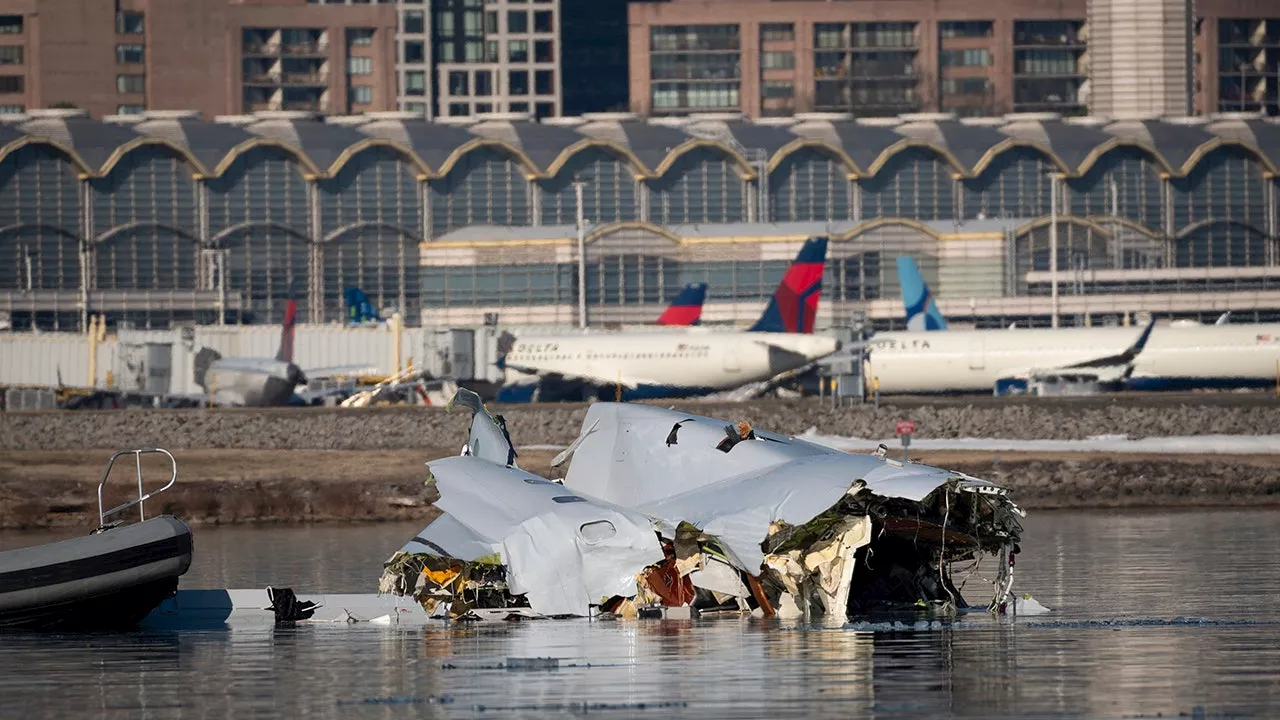 'Warning signs were all there' before deadly DC mid-air crash, former air traffic controller says