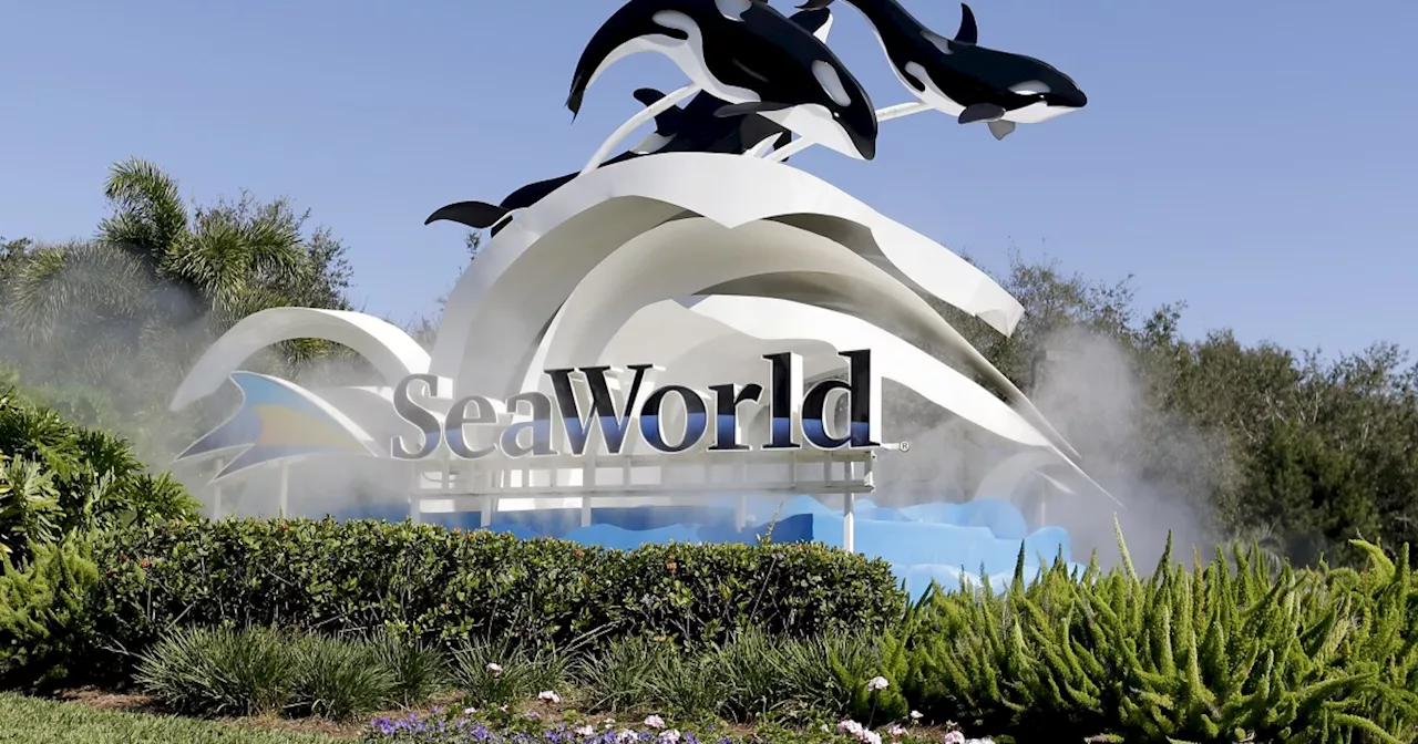 DOJ sues SeaWorld’s parent company over ban on wheeled walkers at their parks
