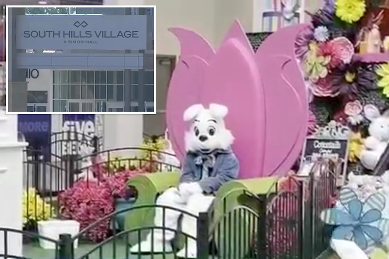 NJ creep accused of groping Easter Bunny at mall after asking about mascot's gender
