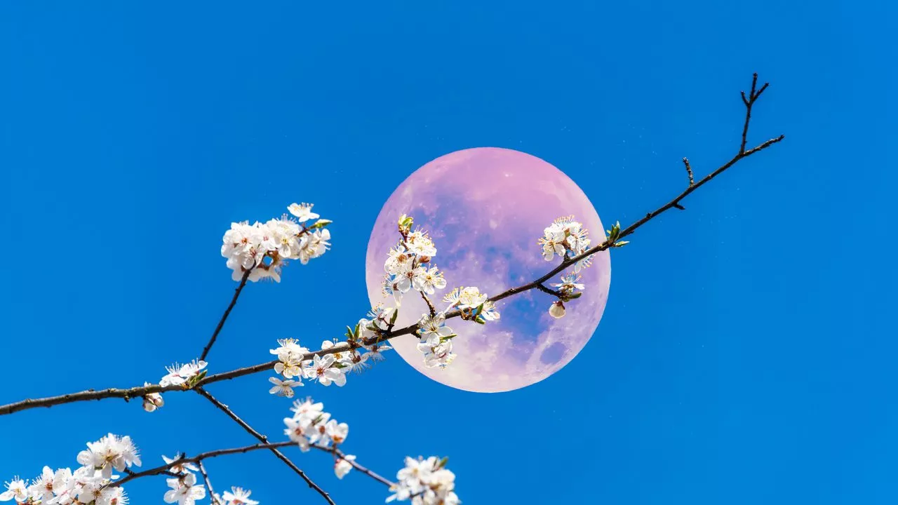 April’s Pink Full Moon Offers a Fresh Start for Spring—Here’s How It Might Affect You