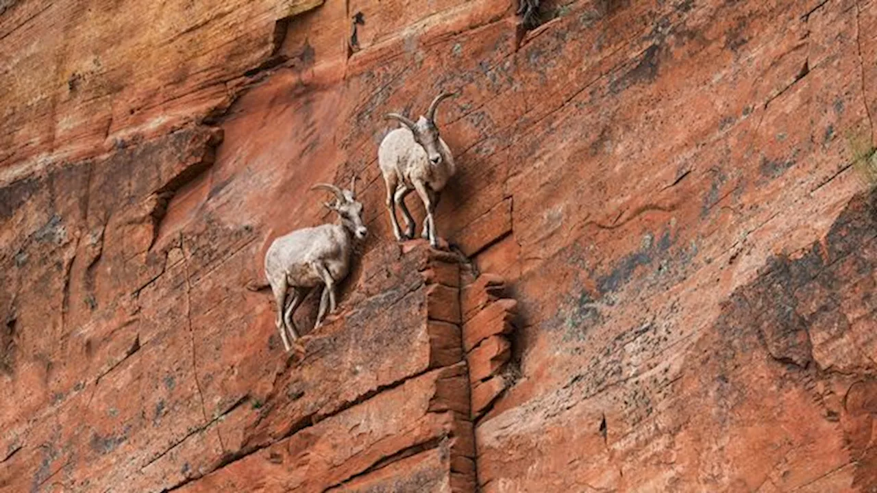 Nine tips to help you cope during turbulent times