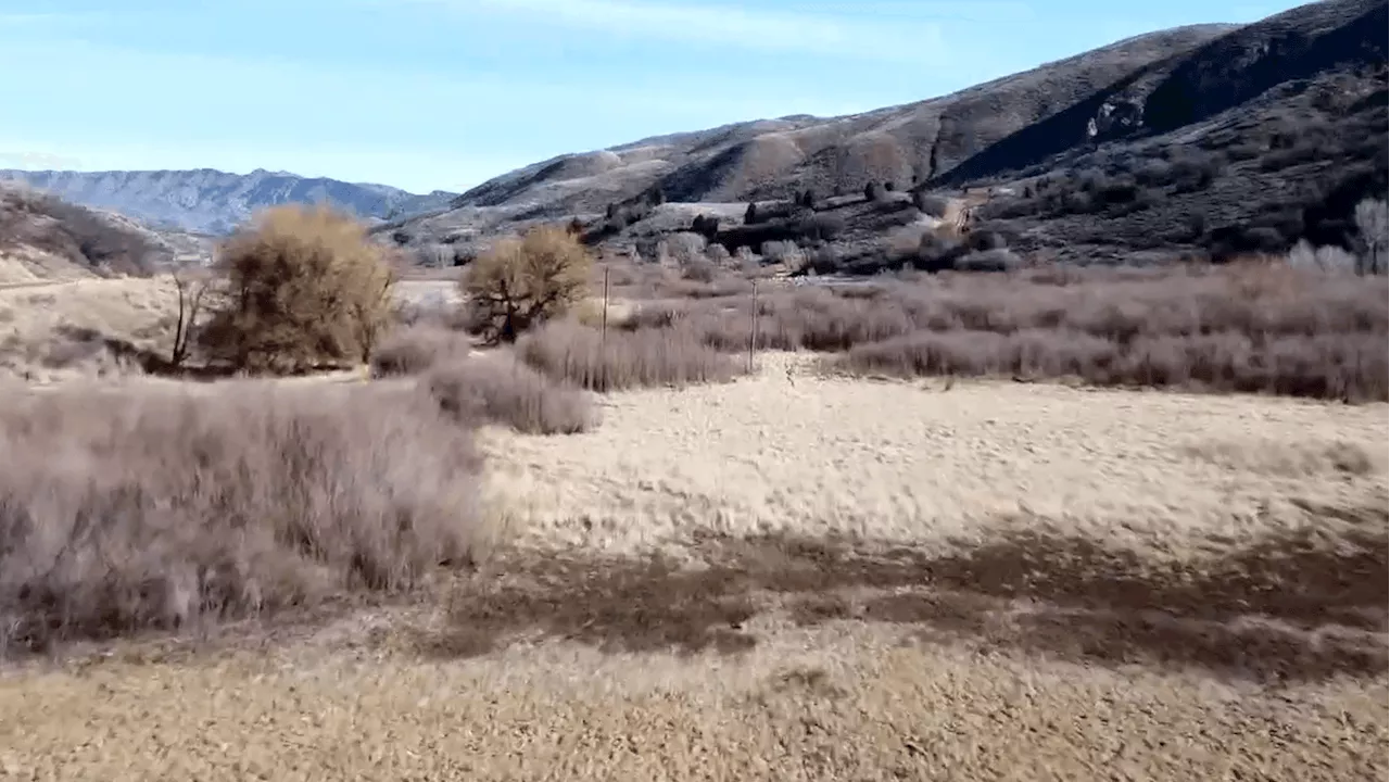 Human Remains Discovered in Springville Mountains Trigger Police Investigation