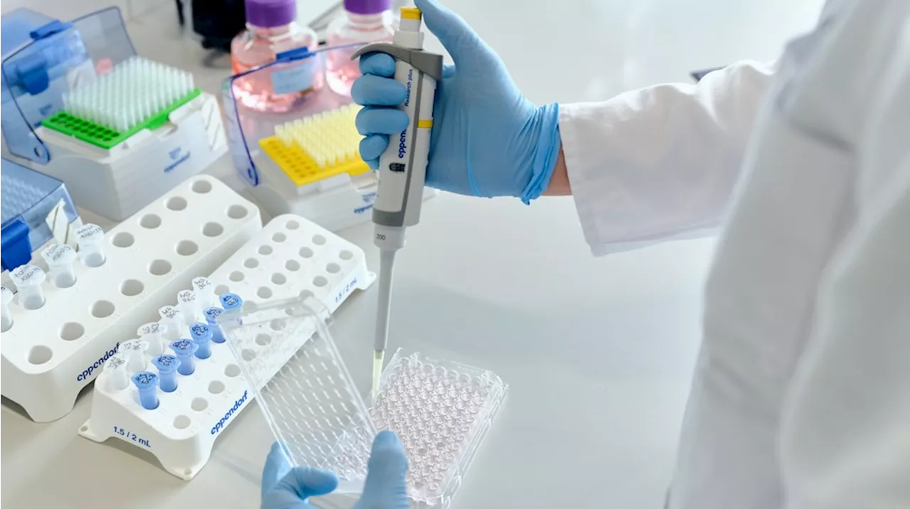 Beiersdorf Doubles Down on Skin Care Innovation with New 100 Million Euro Venture Capital Fund