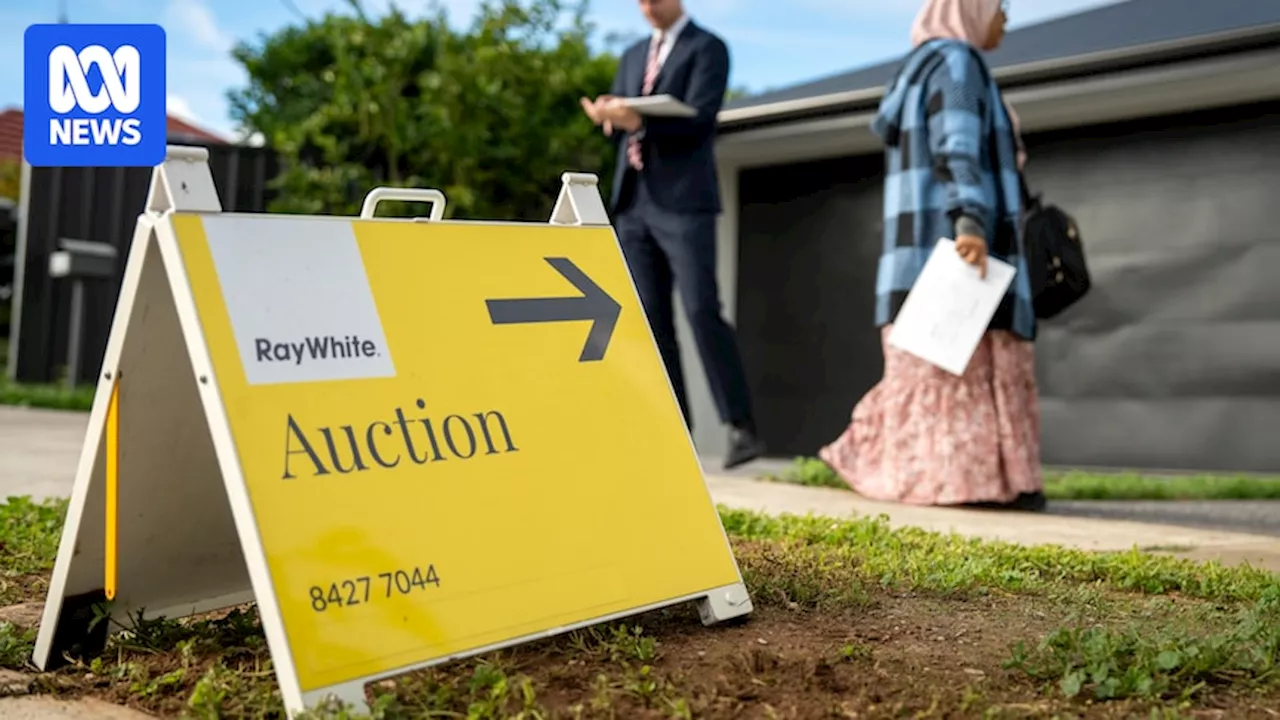 Auction clearance rates decrease post-budget, but positive for first-time buyers: expert